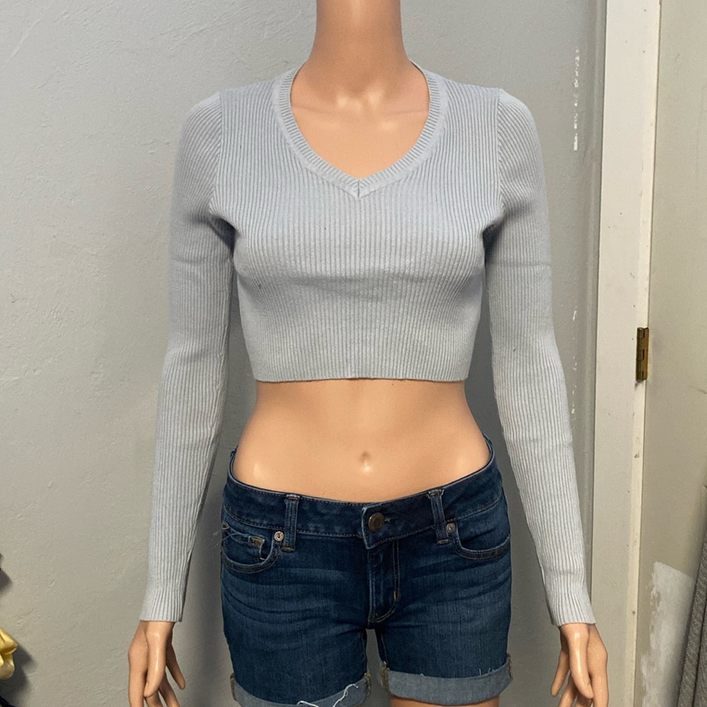 Brandy Melville V Neck Cropped Long Sleeve Baby Blue Sweater